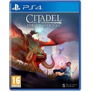 PS4 CITADEL FORGED WITH FIRE